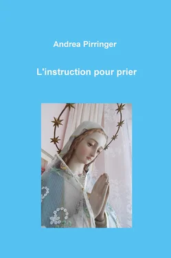 Andrea Pirringer L'instruction pour prier обложка книги