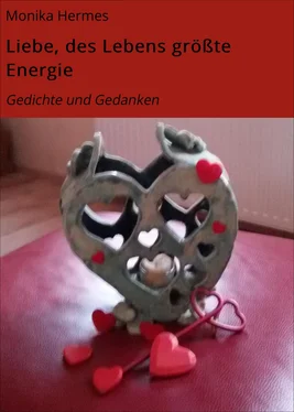 Monika Hermes Liebe, des Lebens größte Energie обложка книги