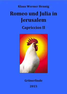 Klaus Werner Hennig Romeo und Julia in Jerusalem обложка книги