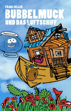 Franz Zeller Bubbelmuck und das Luftschiff обложка книги