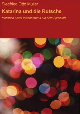 Siegfried Otto Müller Katarina und die Rutsche обложка книги