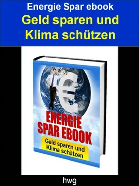 hwg hwg Energie Spar ebook обложка книги