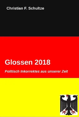 Christian Friedrich Schultze Glossen 2018 обложка книги