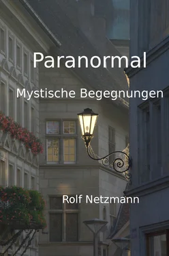 Rolf Netzmann Paranormal обложка книги