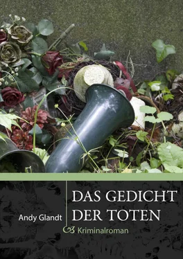 Andy Glandt Das Gedicht der Toten обложка книги