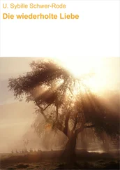 U. Sybille Schwer-Rode - Die wiederholte Liebe