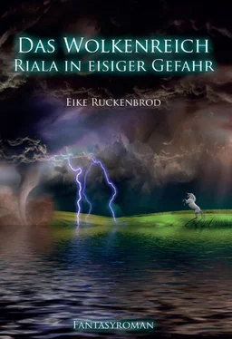 Eike Ruckenbrod Das Wolkenreich обложка книги