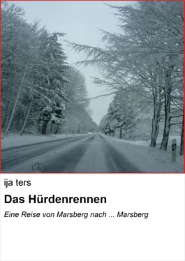 ija ters Das Hürdenrennen обложка книги