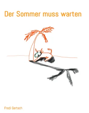 Fredi Gertsch Der Sommer muss warten обложка книги