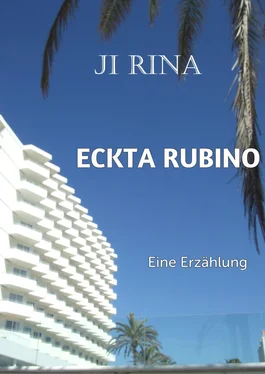 Ji Rina ECKTA RUBINO обложка книги