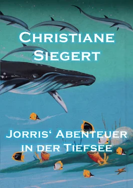 Christiane Siegert Jorris' Abenteuer in der Tiefsee обложка книги