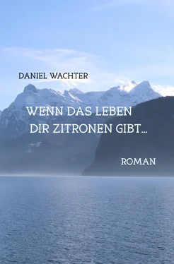 Daniel Wächter Wenn das Leben dir Zitronen gibt... обложка книги