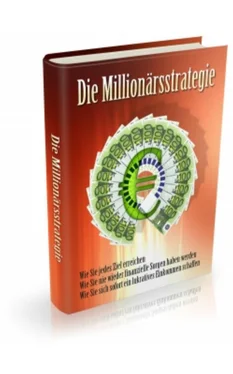 Geb. Nienerza Die Millionärsstrategie обложка книги