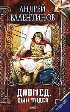 Андрей Валентинов Диомед, сын Тидея. Книга первая