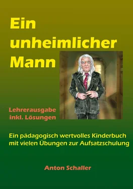 Anton Schaller Ein unheimlicher Mann обложка книги