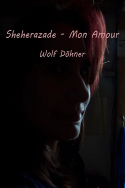 Wolf Döhner Sheherazade - Mon Amour обложка книги