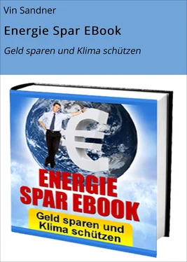 Vin Sandner Energie Spar EBook обложка книги