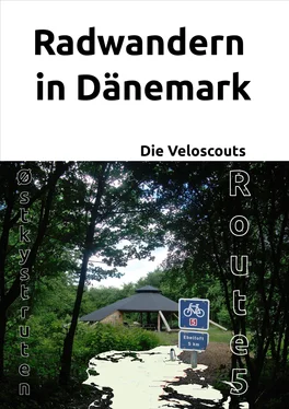 Die Veloscouts Radwandern in Dänemark – Route 5 (Østkystruten/Østersøruten) обложка книги