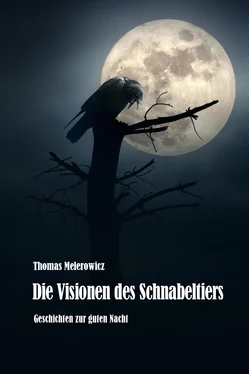 Thomas Melerowicz Die Visionen des Schnabeltiers обложка книги