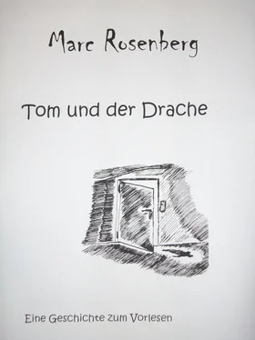Marc Rosenberg Tom und der Drache обложка книги