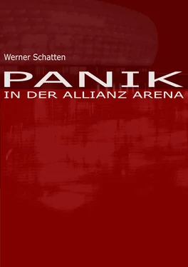 Werner Schatten Panik in der Allianz Arena обложка книги