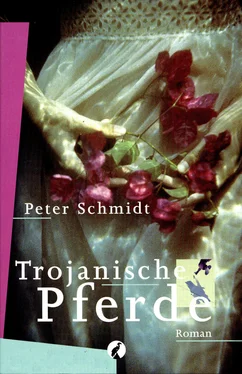 Peter Schmidt Trojanische Pferde обложка книги
