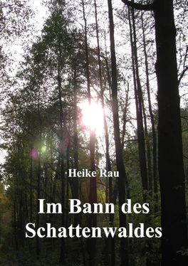 Heike Rau Im Bann des Schattenwaldes обложка книги