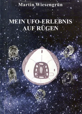 Wiesengrün Martin Mein UFO-Erlebnis auf Rügen обложка книги