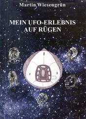 Wiesengrün Martin - Mein UFO-Erlebnis auf Rügen