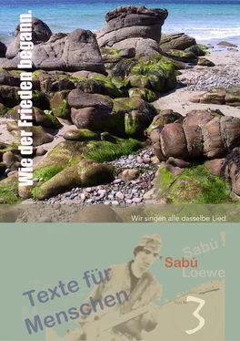 Sabú Loewe Wie der Frieden begann обложка книги