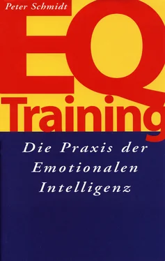 Peter Schmidt EQ-Training обложка книги