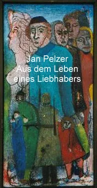 Jan Pelzer Aus dem Leben eines Liebhabers обложка книги