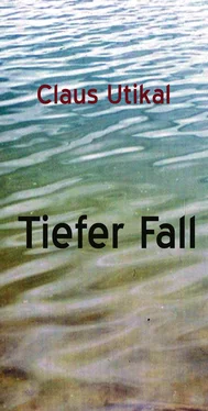 Claus Utikal Tiefer Fall обложка книги