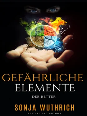 Sonja Wuthrich Gefährliche Elemente обложка книги