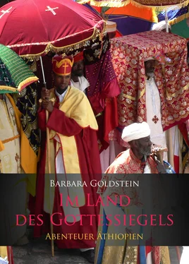 Barbara Goldstein Im Land des Gottessiegels обложка книги