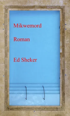 Ed Sheker Mikwemord обложка книги