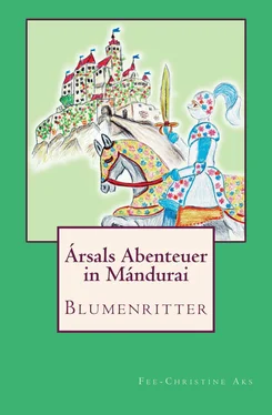 Fee-Christine Aks Blumenritter обложка книги