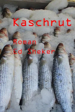 Ed Sheker Kaschrut обложка книги