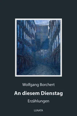 Wolfgang Borchert An diesem Dienstag обложка книги
