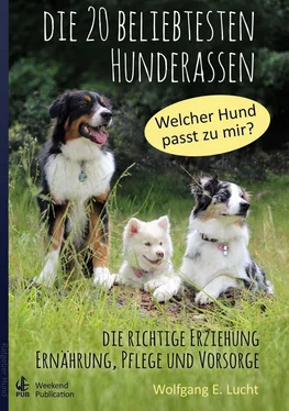 Wolfgang E. Lucht Die 20 beliebtesten Hunderassen обложка книги