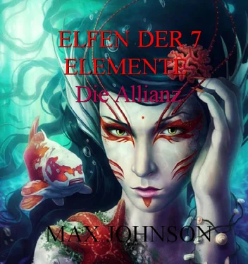 Max Johnson Elfen der 7 Elemente обложка книги