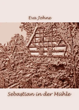 Eva Johne Sebastian in der Mühle обложка книги