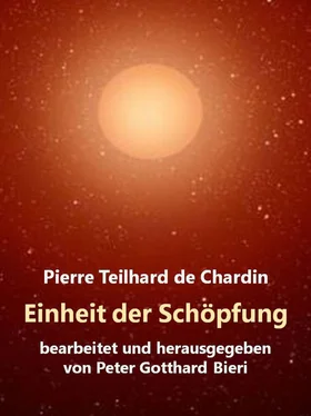 Pierre Teilhard De Chardin Einheit der Schöpfung обложка книги