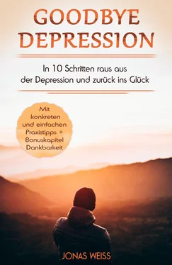 Jonas Weiß Goodbye Depression обложка книги