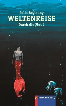 Julia Beylouny Weltenreise обложка книги