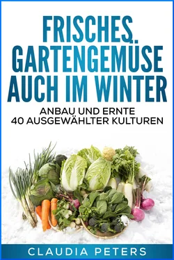 Claudia Peters Frisches Gartengemüse auch im Winter обложка книги