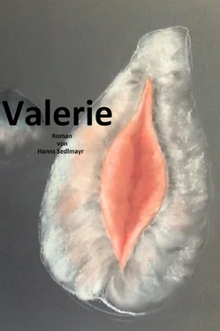 Hanns Sedlmayr Valerie обложка книги