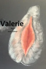 Hanns Sedlmayr - Valerie