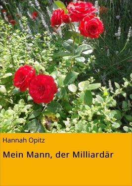 Hannah Opitz Mein Mann, der Milliardär обложка книги