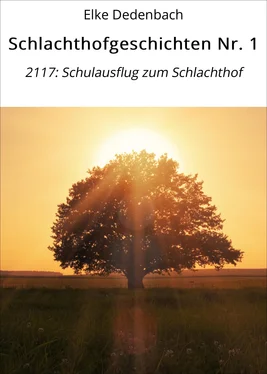 Elke Dedenbach Schlachthofgeschichten Nr. 1 обложка книги